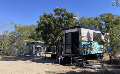MINT Turtle Clinic 2025