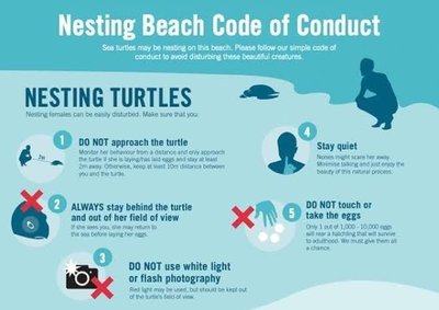 Code of conduct for sea turtle conservation