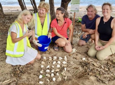 Nest monitoring for sea turtles