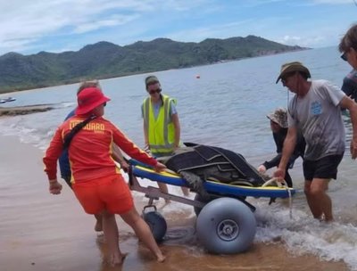 Rescue operation involving a large adult sea turtle